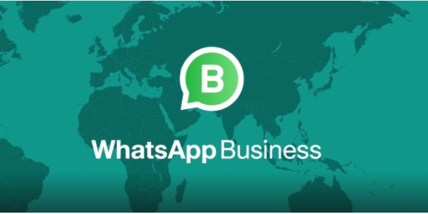 The pros and cons of new updated WhatsApp Business